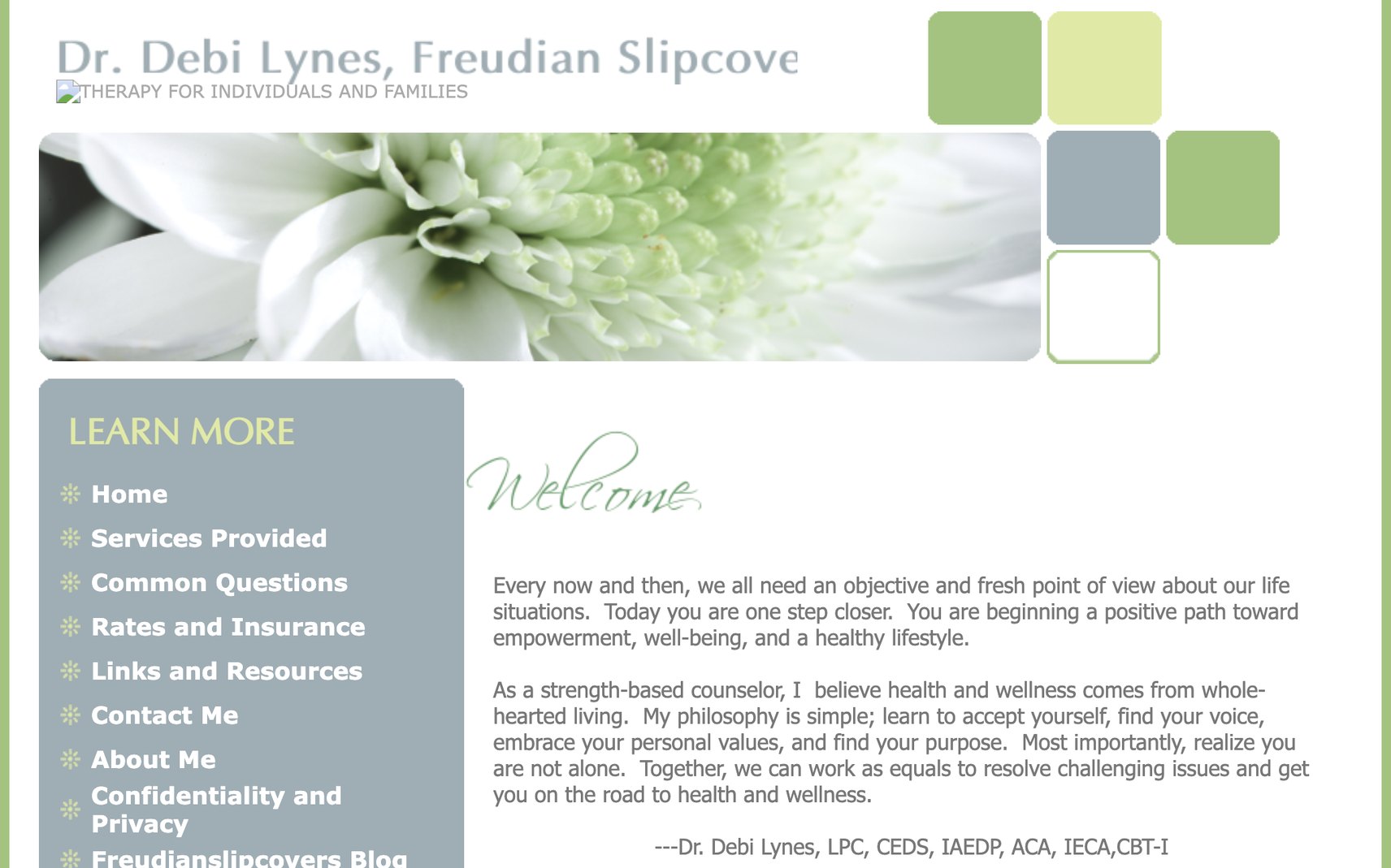 the previous freudianslipcovers.com website