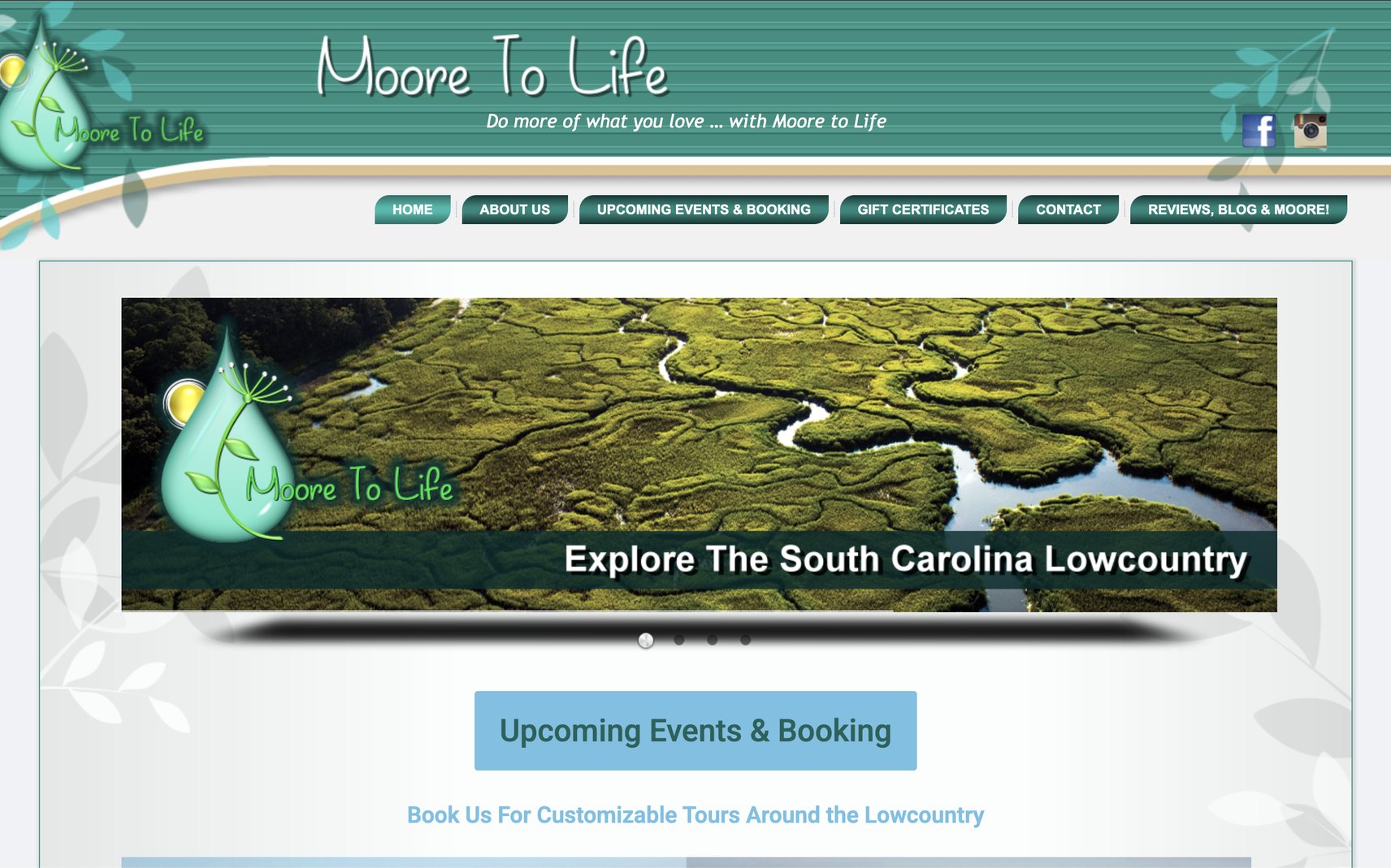 the previous moore2lifesc.com website